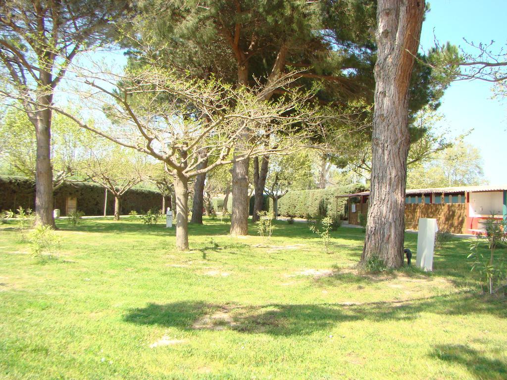 Camping Cap Sud 3*