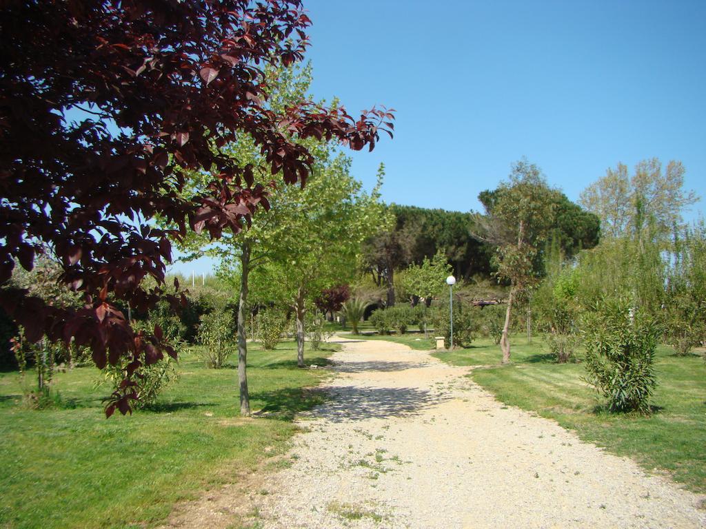 Camping Cap Sud Alénya